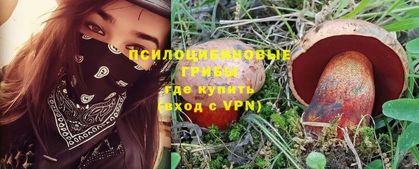 твердый Вязьма