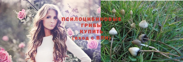 стаф Горнозаводск